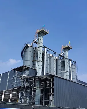 Dry Mortar Plants