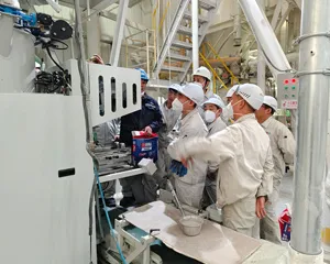 Gypsum Plaster Production Plant