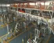 Self-Leveling Mortar Production Plant
