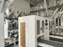 Automatic Valve Bag Placer 