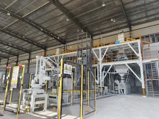 Automatic Palletizing Equipment 